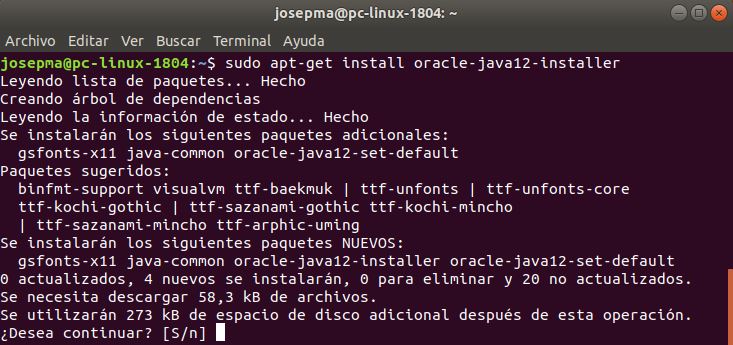 sudo apt-get install oracle-java12-installer